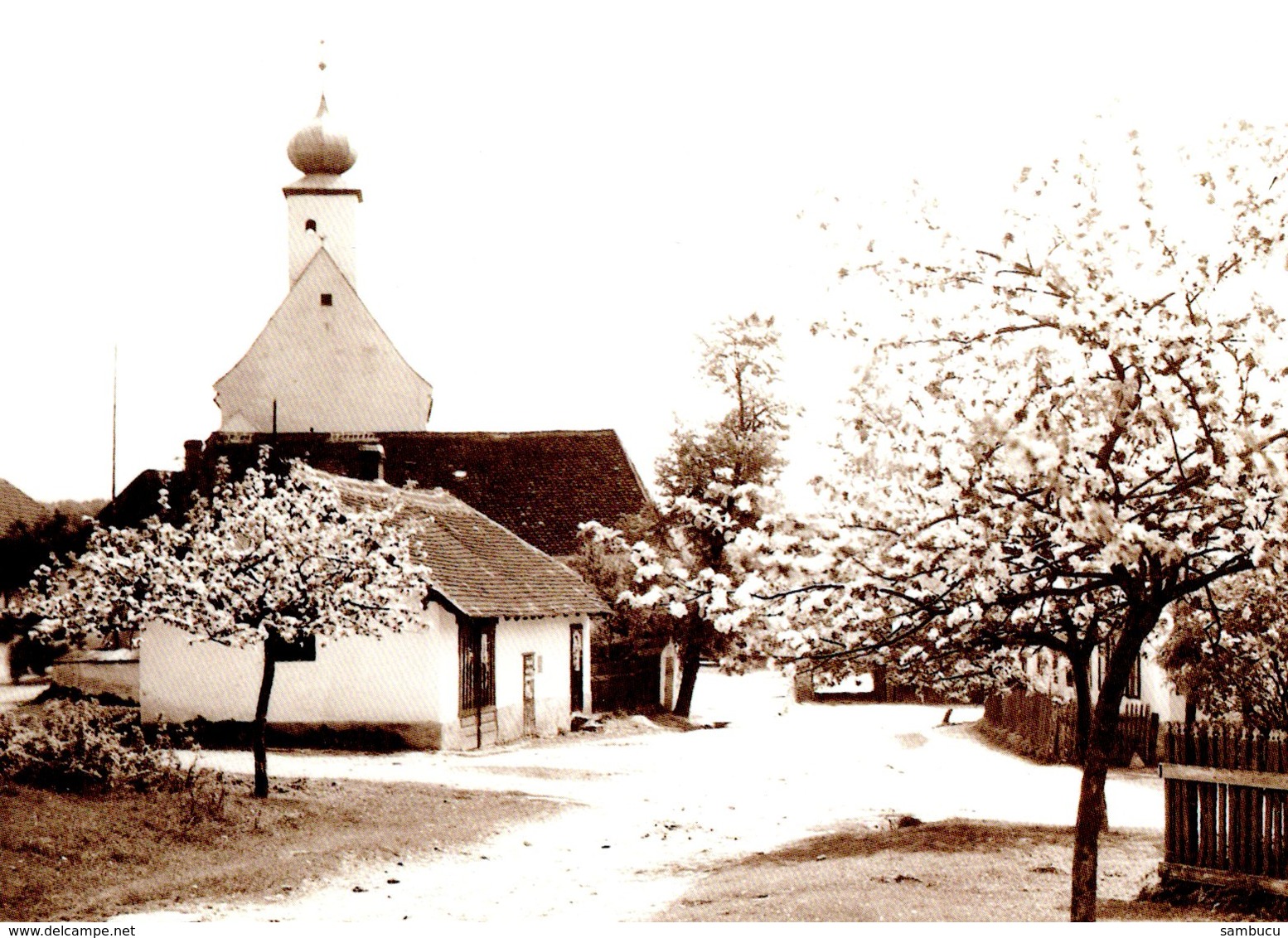 Felling - Straßenansicht - Schulprojekt Leben Im Dorf - Hollabrunn