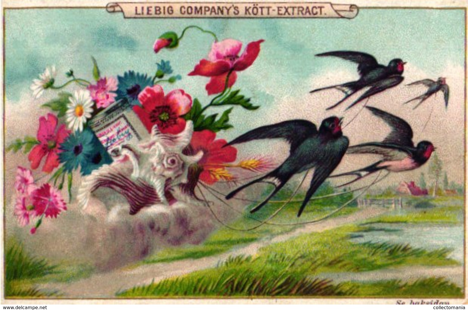 1 Liebig Advertising Card,  Edition : SVEZIA Zweden  S 380 Anno C1893, Fleurs, Oiseaux Et Papillons - Liebig