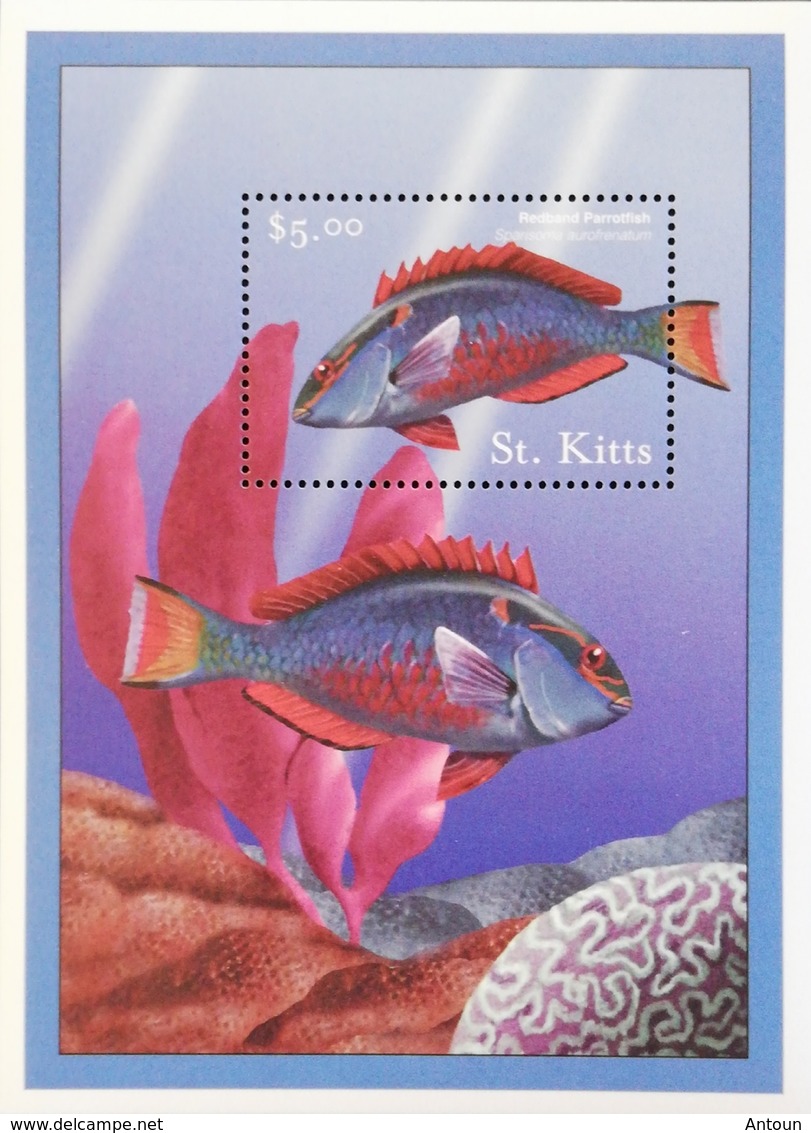 St Kitts And Nevis  Flora And Fauna S/S - St.Kitts And Nevis ( 1983-...)