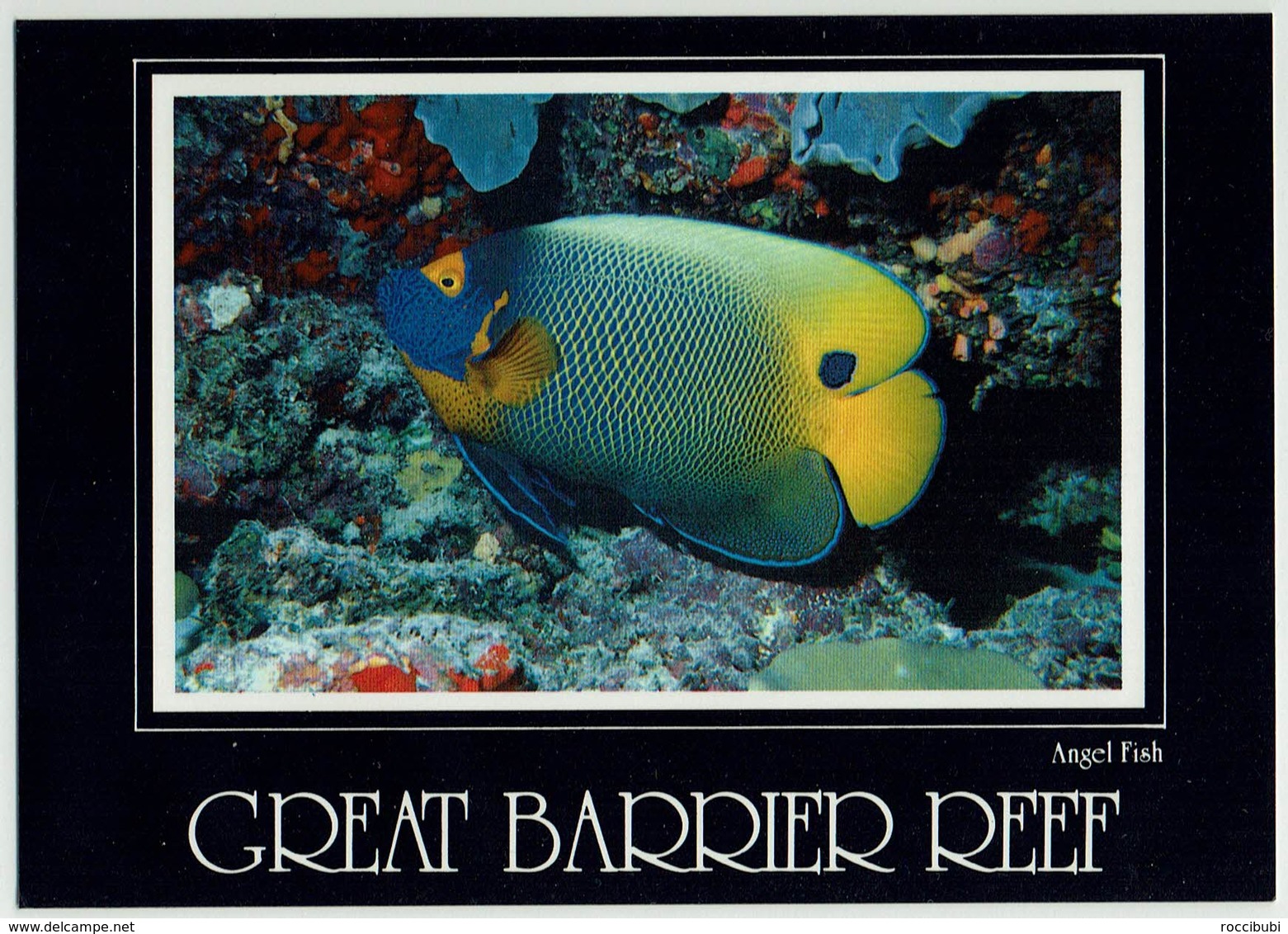 Australien, Great Barrier Reef - Great Barrier Reef