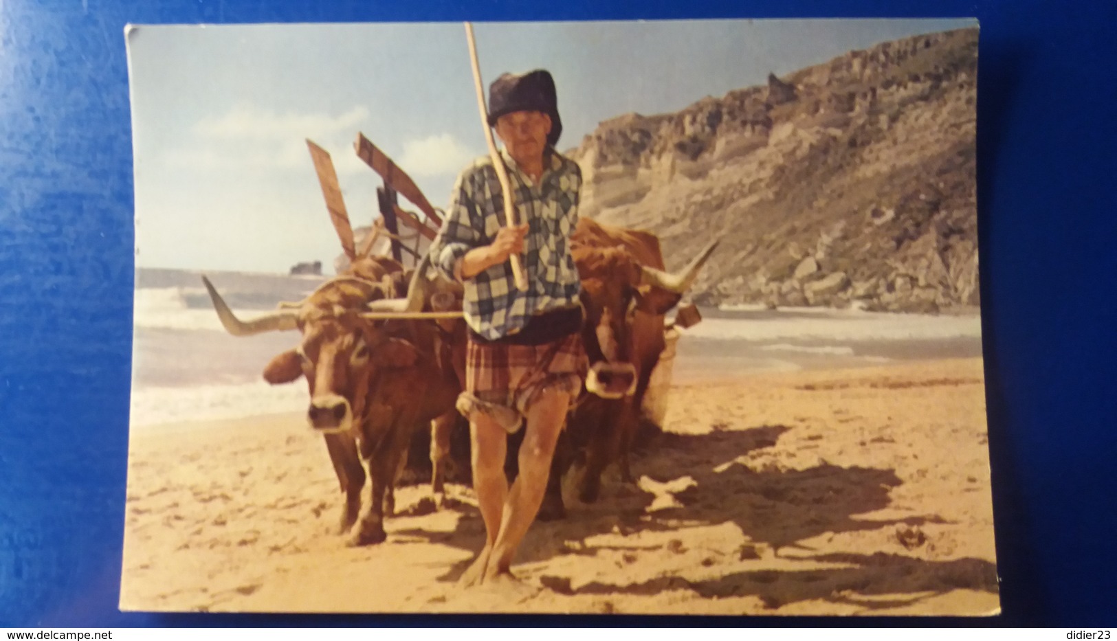 LES BOEUFS  SUR UNE PLAGE - Taureaux