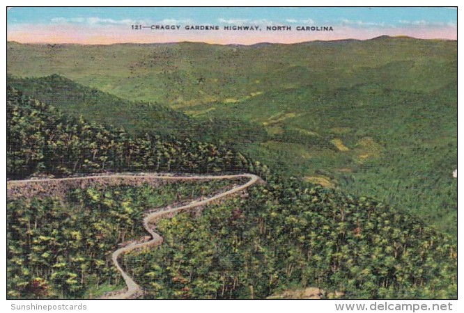 North Carolina Craggy Gardens Highway Near Asheville - Asheville