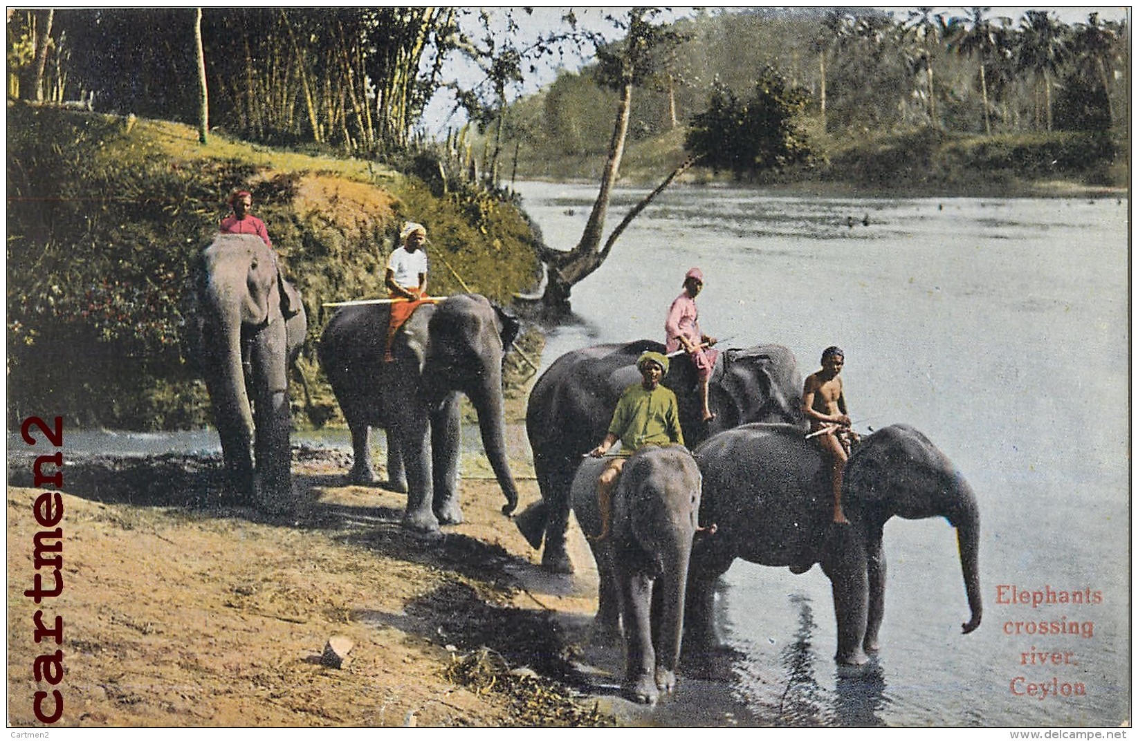 SRI-LANKA ELEPHANTS CROSSING RIVER CEYLON CEYLAN ELEPHANT INDE INDIA - Sri Lanka (Ceylon)