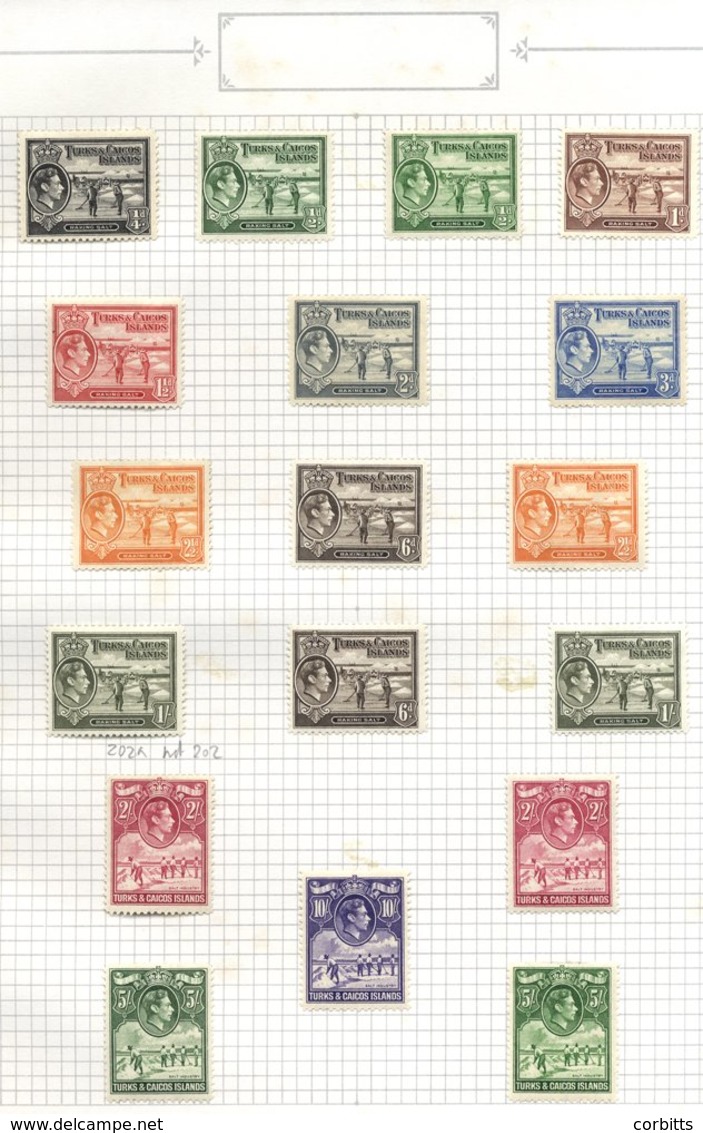 BRITISH WEST INDIES M & U Ranges On Leaves Incl. Barbados 1938 To 5s FU, 1938 Defin Set M, Another Set FU, Bermuda 1953  - Other & Unclassified