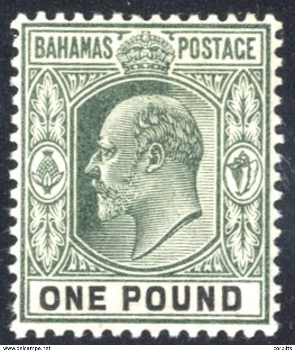 1902 CCA £1 Green & Black, Fine M, SG.70. (1) Cat. £300 - Autres & Non Classés