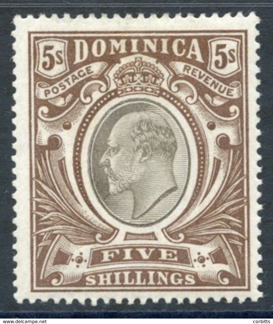 1903-07 CCC 5s Black & Brown, Fine M, SG.36. (1) Cat. £110. - Other & Unclassified