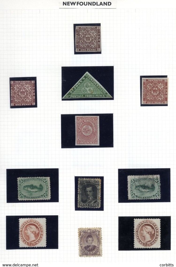 B.N.A. Collection Of Newfoundland & Canada Housed In A Multi Ring Album Incl. Newfoundland 1857 1d M, 1860 3d, 4d & 5d M - Autres & Non Classés