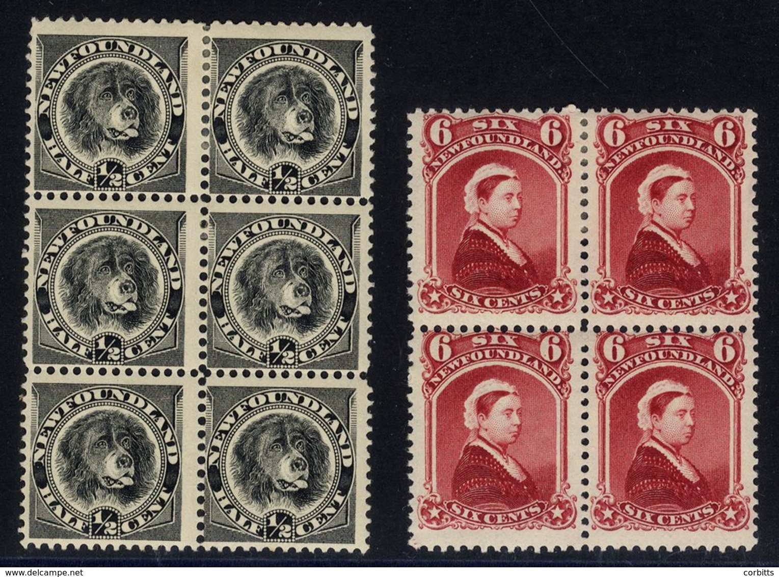 1894 ½c Black, Fresh M Block Of Six, 6c Fresh M Block Of Four, SG.59/60. (10) Cat. £188+ - Autres & Non Classés