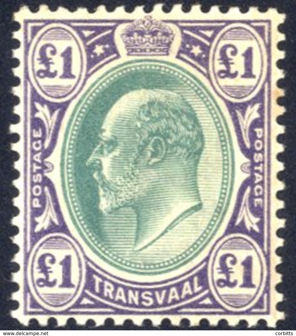 1903 CCA £1 Green & Violet, Fine M, SG.258. (1) Cat. £375 - Other & Unclassified