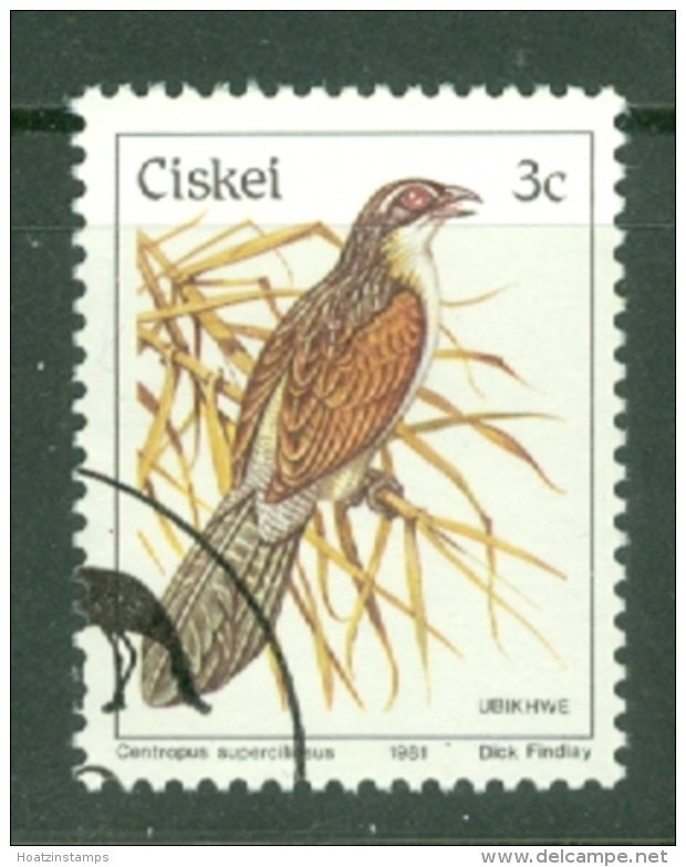 Ciskei: 1981/90   Birds   SG7   3c    Used - Ciskei