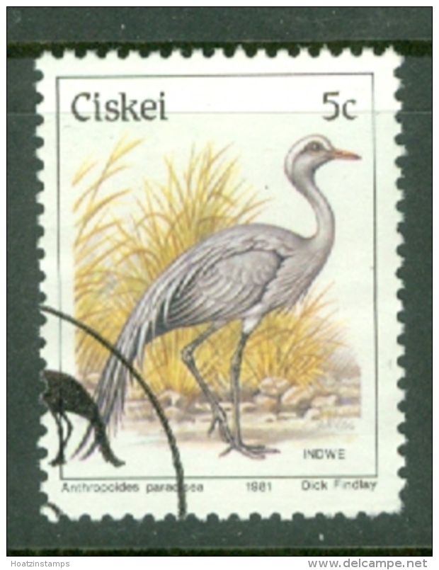 Ciskei: 1981/90   Birds   SG9   5c    Used - Ciskei