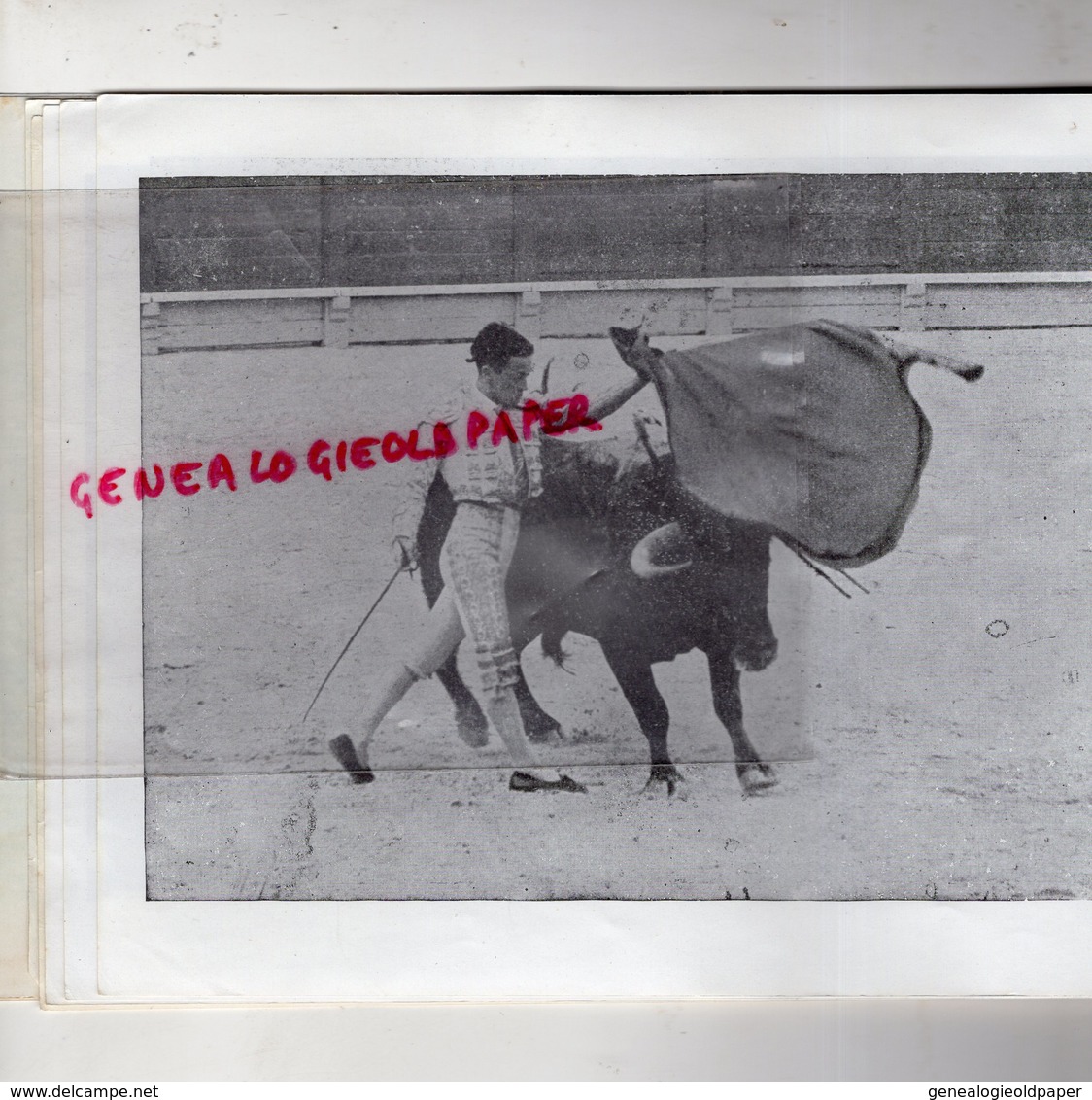 ESPAGNE- MALLORCA- PALMA- BULLFIGHT CORRIDA DE TOROS- TRAUREAUX- 8 AOUT 1965- ARENES-EL ARENAL- TOREO- TAUROMACHIE-