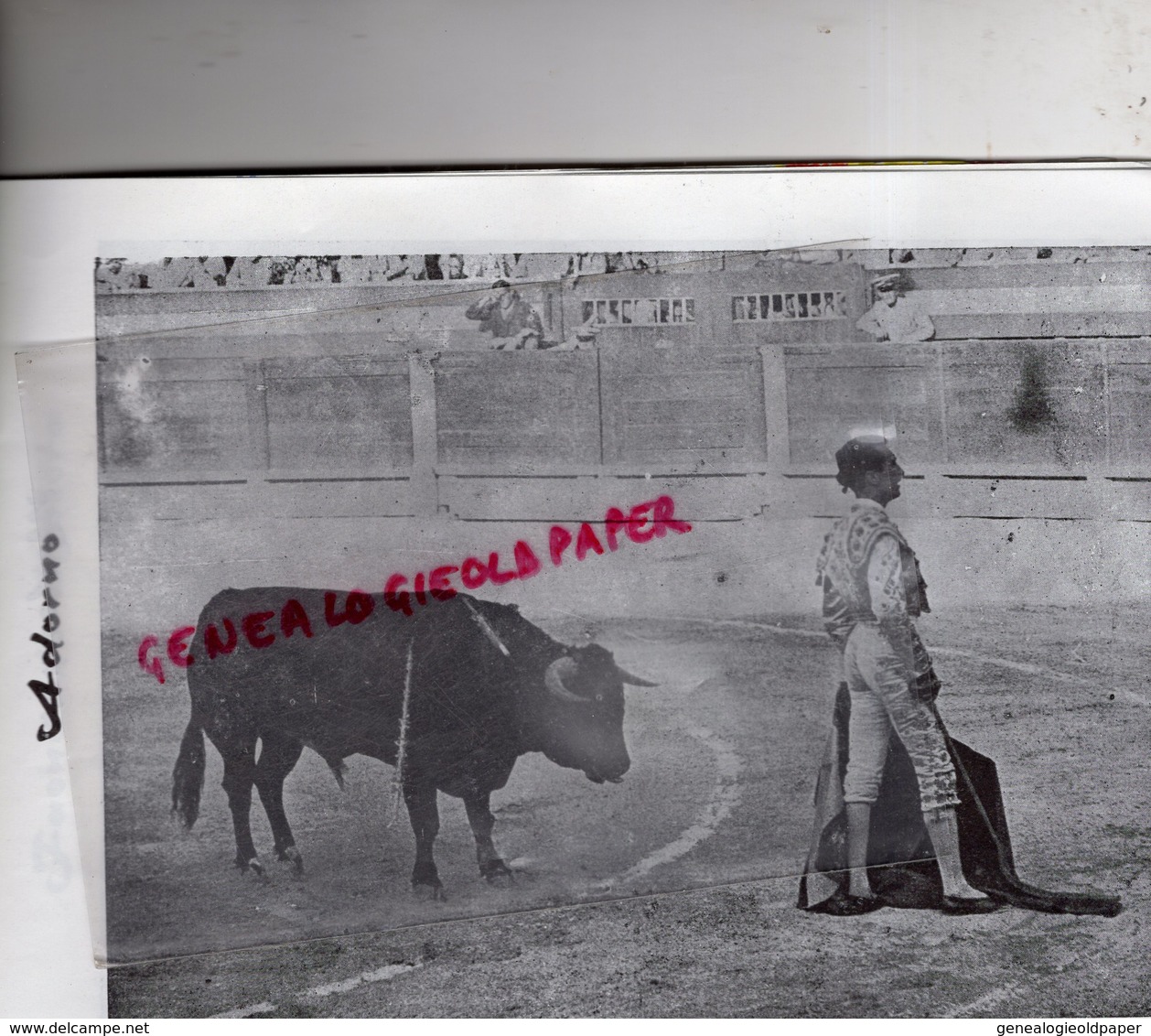 ESPAGNE- MALLORCA- PALMA- BULLFIGHT CORRIDA DE TOROS- TRAUREAUX- 8 AOUT 1965- ARENES-EL ARENAL- TOREO- TAUROMACHIE-