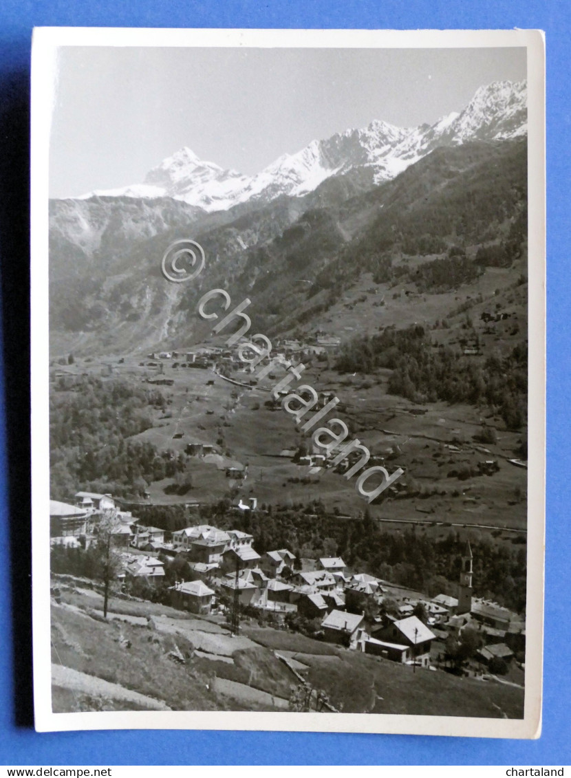 Collezionismo Fotografia D'epoca - Chiesa Valmalenco - Rif. N. 87A - Anni '60 - Autres & Non Classés