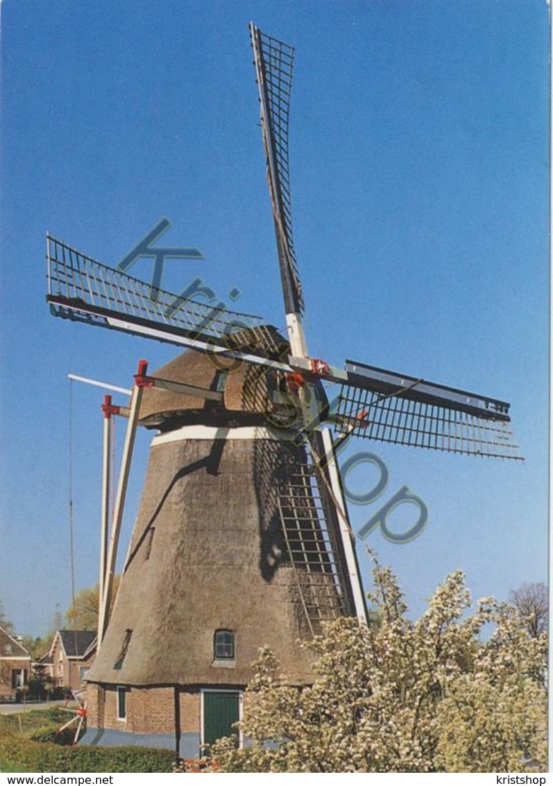 Waardenburg - Poldermolen [AA7 650 - Autres & Non Classés