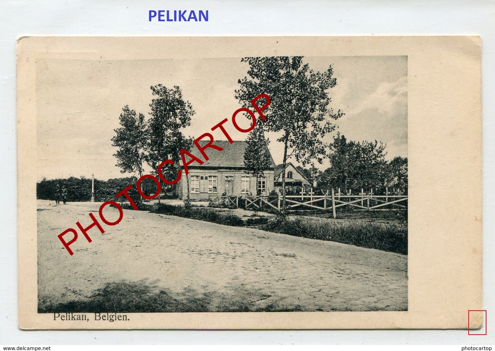 PELIKAN-Cimetiere-Carte Allemande-Periode Guerre 14-18-1WK-Belgien- - Lichtervelde