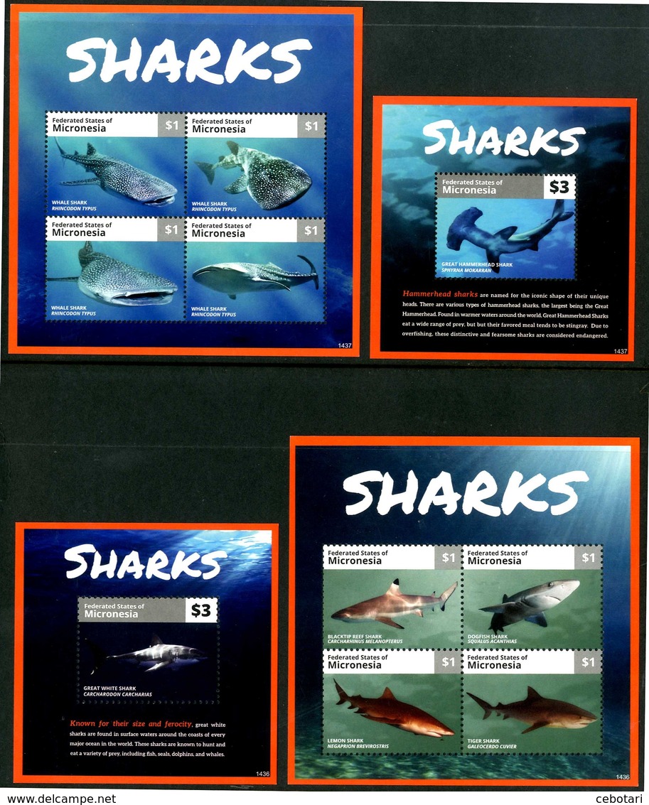 MICRONESIA 2014** - Squali / Sharks - 2 Miniblock + 2 Block Di 4 Val. MNH Come Da Scansione - Fische