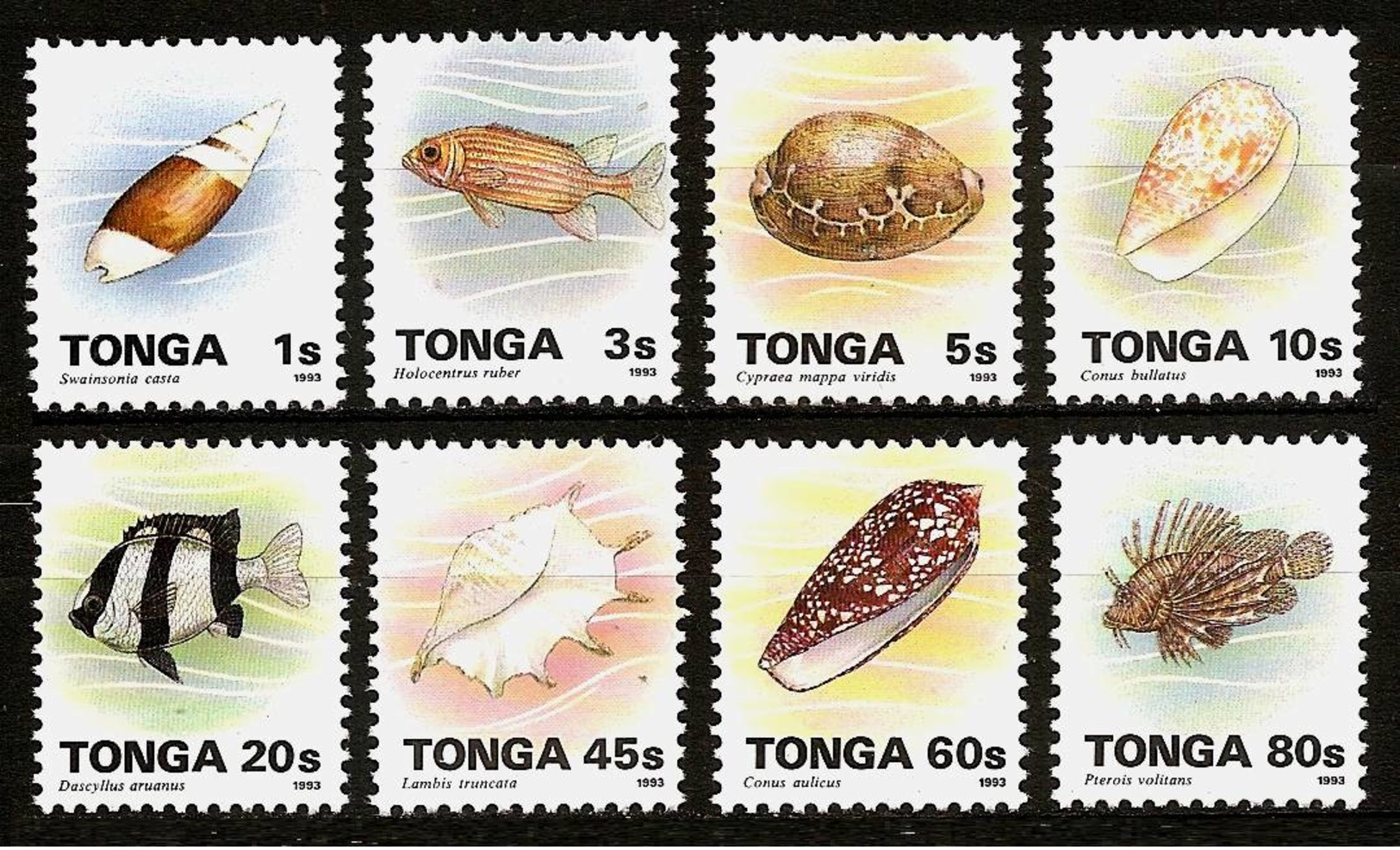 TONGA 1993 - SEAFOOD Meerestiere - 8v Mi 1272-1279 MNH ** Cv€5,50 V368 - Tonga (1970-...)