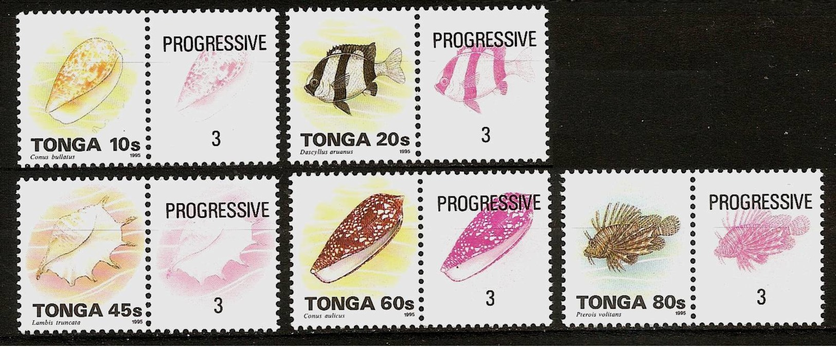 TONGA 1995 - Var. SEAFOOD Meerestiere - PROGRESSIVE SPECIMEN PROOF 5v + TAB MNH ** V369 - Tonga (1970-...)