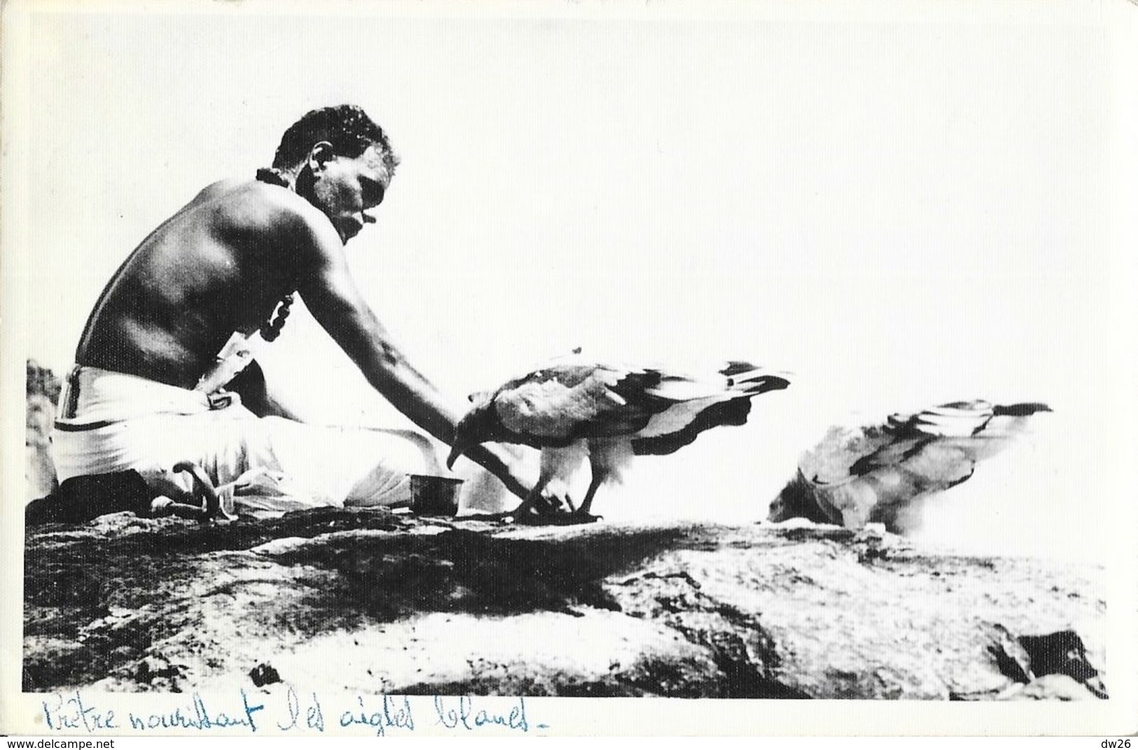 Asie (Inde, Pakistan?) - Prêtre Nourrissant Les Aigles Blancs - Carte-photo - Azië