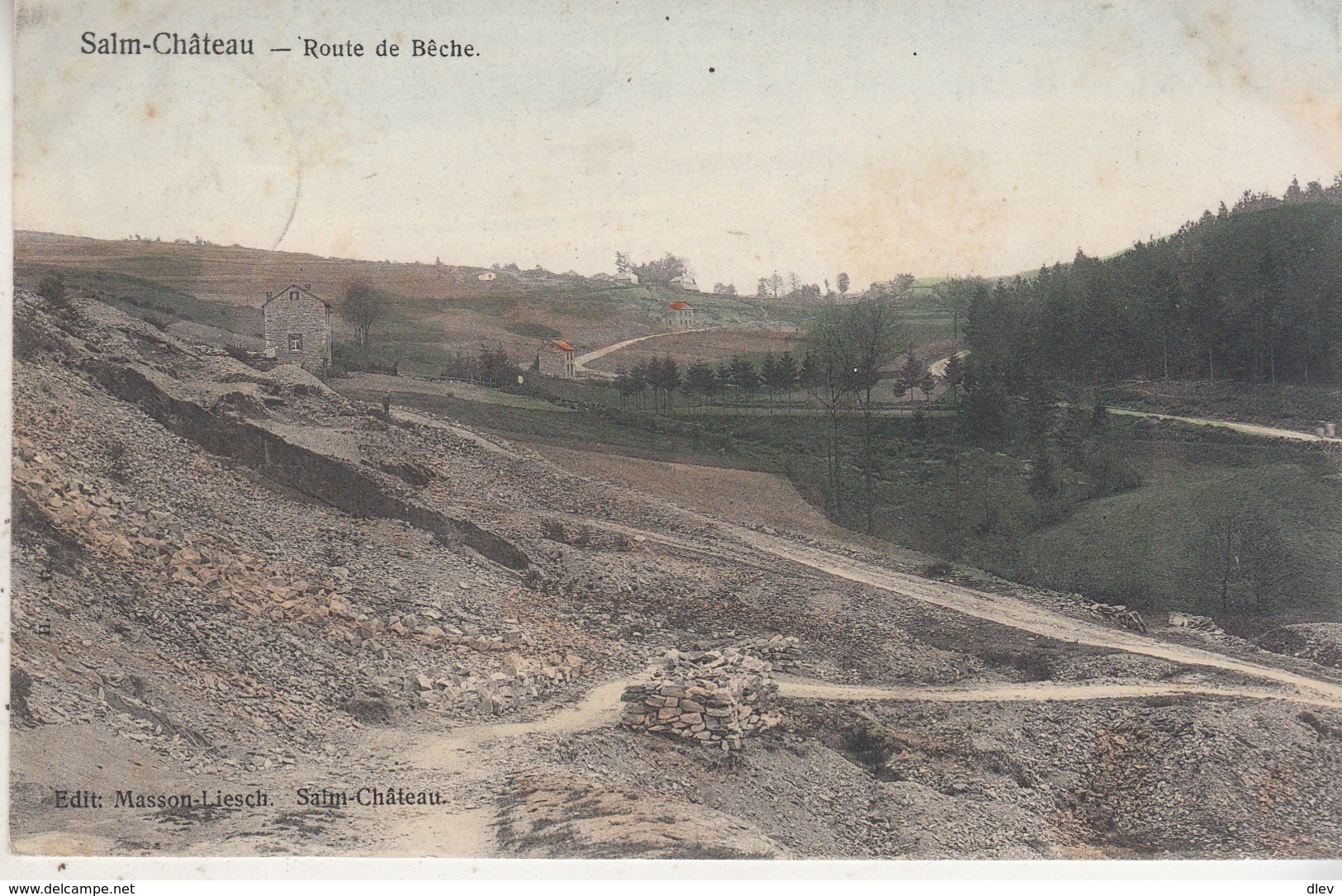 Salm-Château - Route De Bêche - Carte Couleur - Vielsalm