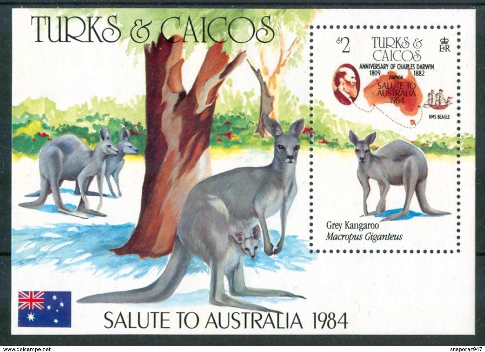 1984 Turks & Caicos Charles Darwin Naturalista Mappe Cartes Maps Canguri Kangaroos MNH** No135 - Altri & Non Classificati