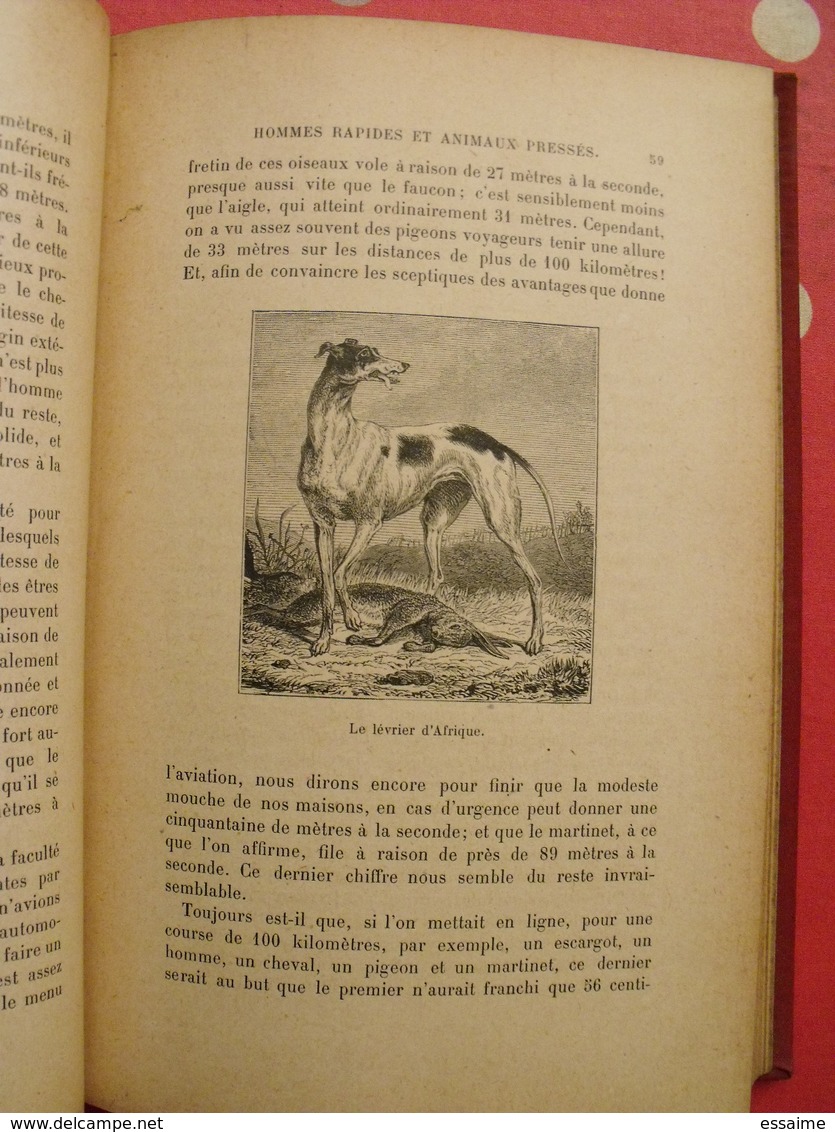 les merveilles de la nature et de l'industrie. daniel bellet. hachette 1909. 58 gravures. train chemin de fer