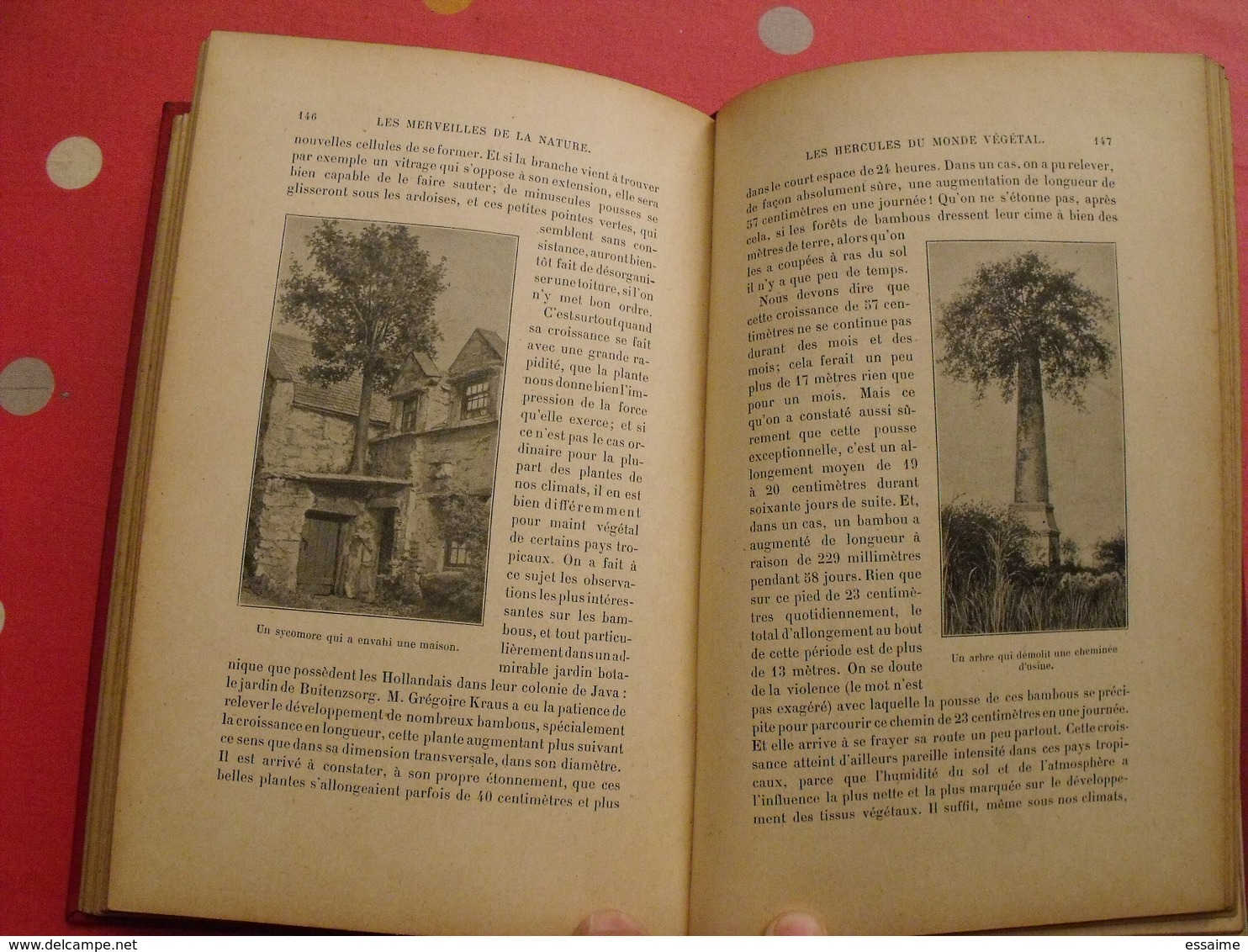 les merveilles de la nature et de l'industrie. daniel bellet. hachette 1909. 58 gravures. train chemin de fer