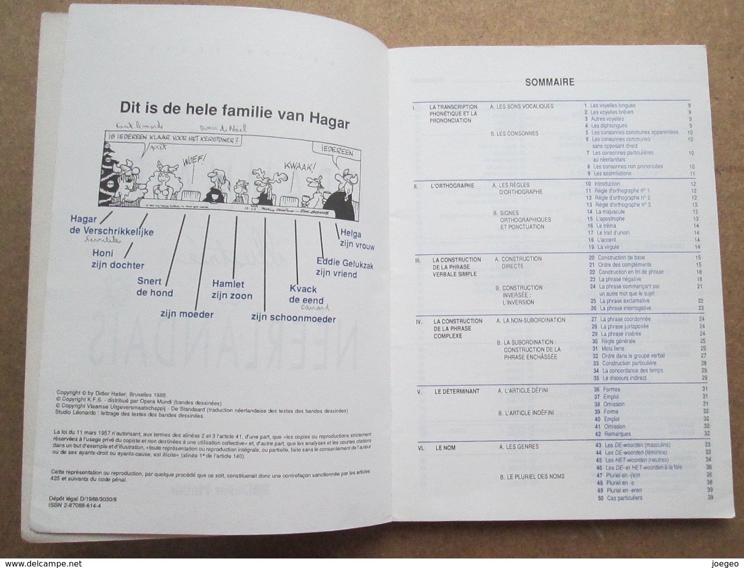 Grammaire Illustrée Du Néerlandais - Gaston Rosen - Didier Hatier - 18+ Jaar