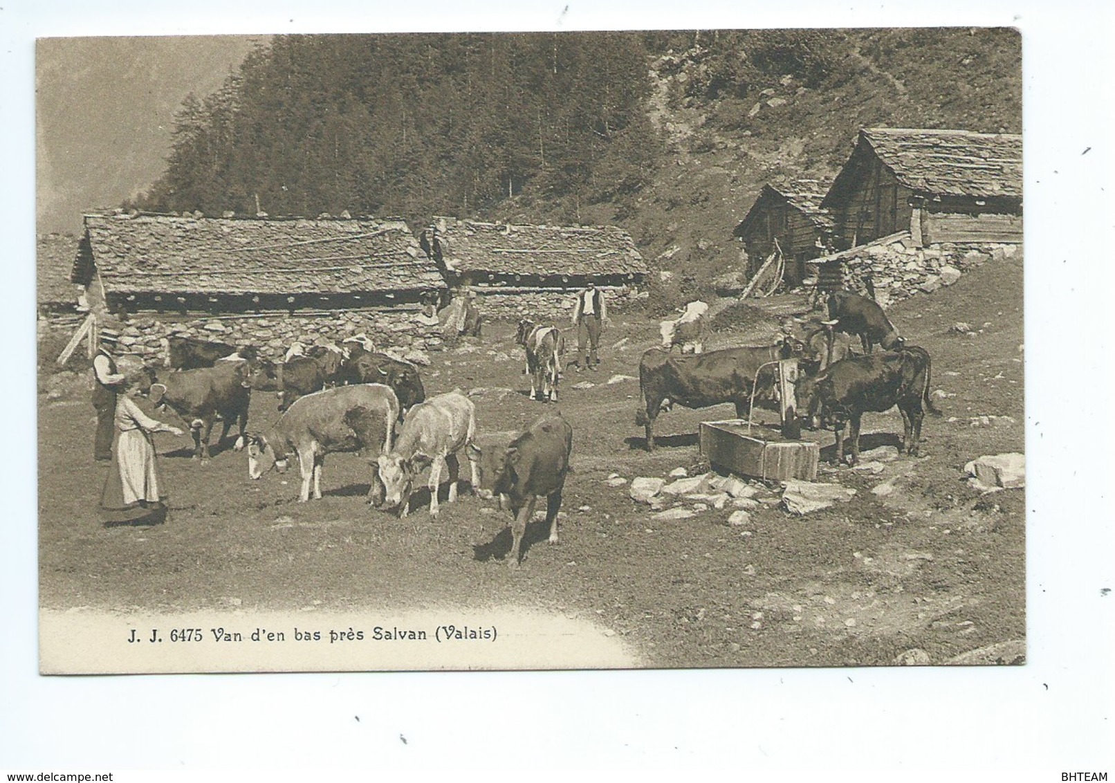 Van D'en Bas Près Salvan - Salvan