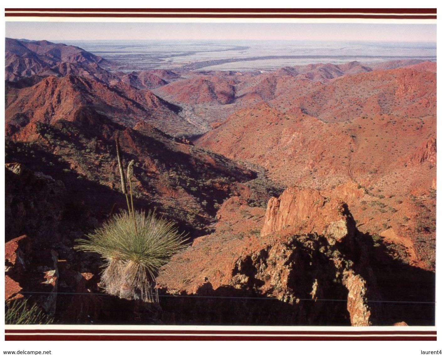 (600) Australia - SA - Flinders Ranges - Flinders Ranges