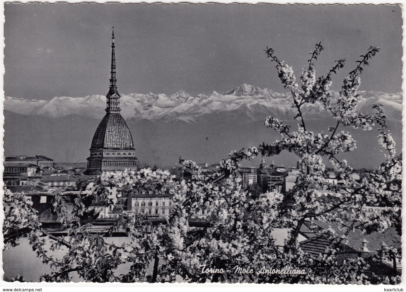 Torino - La Mole Antonelliana 'Les Alpes' - (Italia) - Mole Antonelliana