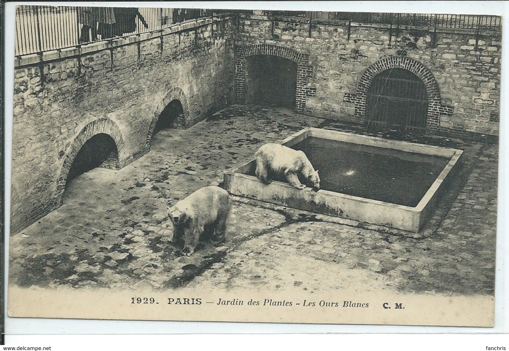 Paris- Jardin Des Plantes-Les Ours Blancs - Parcs, Jardins