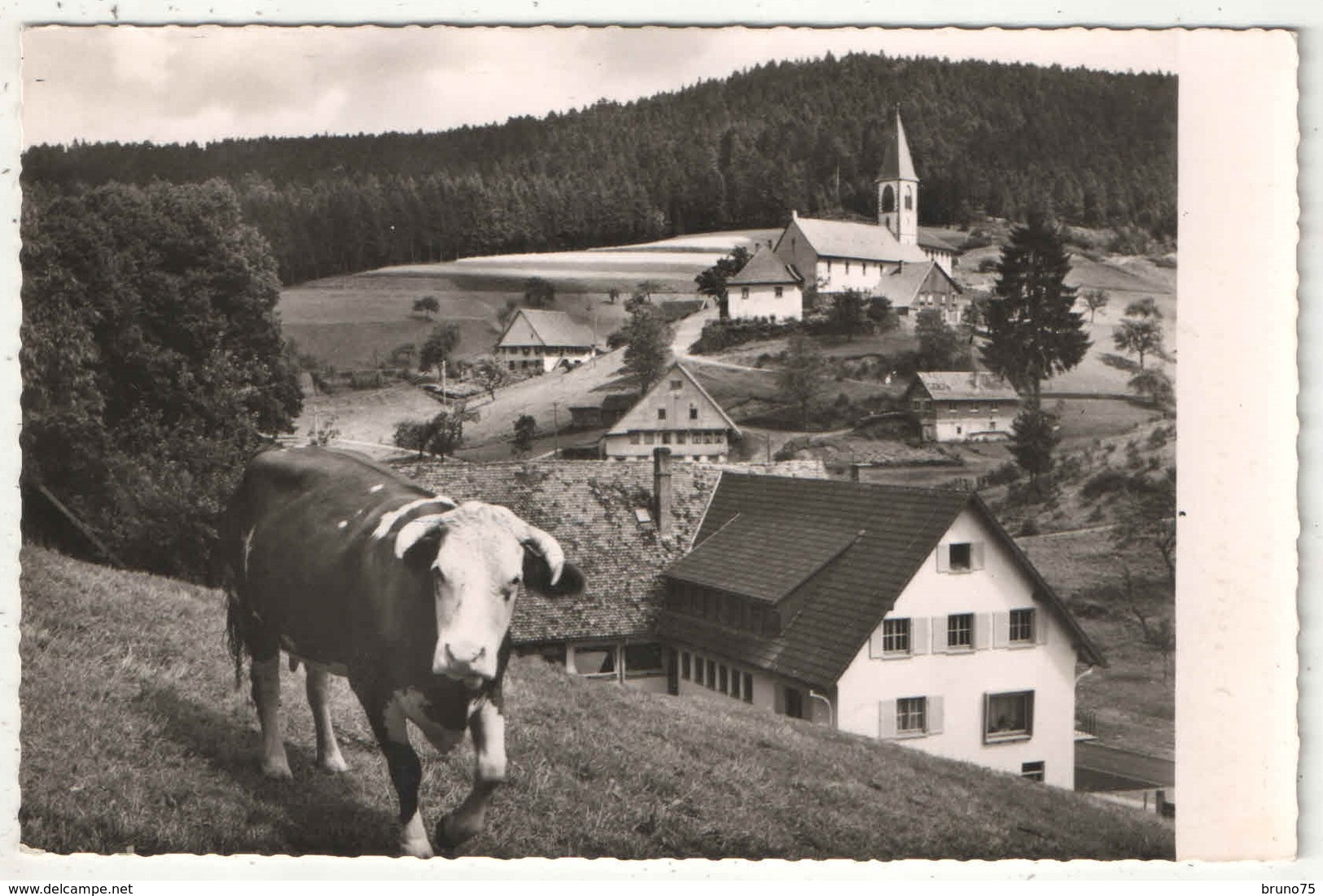 St. Roman / Schwarzwald - Gasthof Zum Adler - 1961 - Wolfach