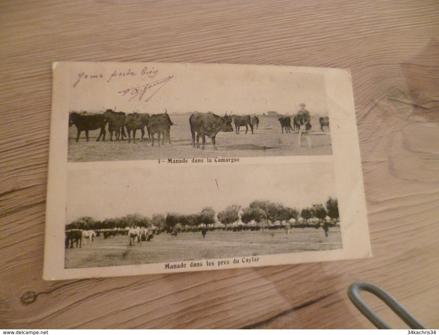 CPA 30 Gard Le Caylar Manade Dans La Camargue Dans Les Près Taureaux Gardians Tirage Vant 1906 - Autres & Non Classés