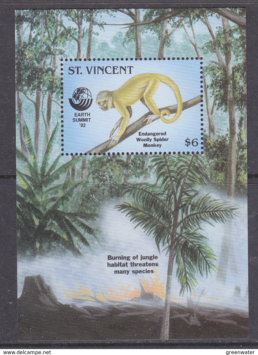 St. Vincent 1992 Earth Summit / Wolly Spider Monkey  M/s ** Mnh (40838) - St.Vincent (1979-...)