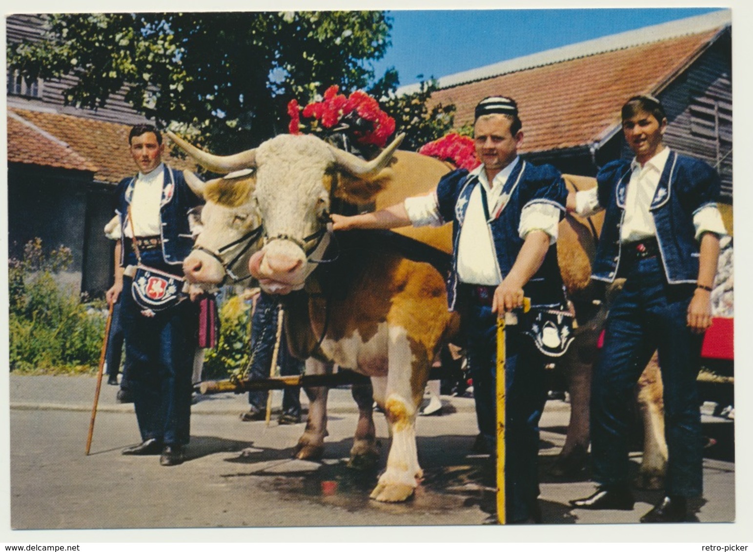 AK  Geschmückte Rinder Gespann Gruyere - Vaches