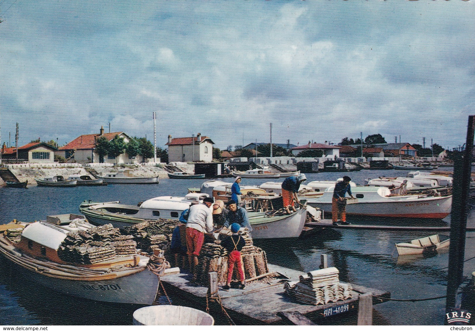 33. LA TESTE. SCÈNE OSTRÉICOLE AU PORT DE LA TESTE. ANNEE 1971 - Autres & Non Classés