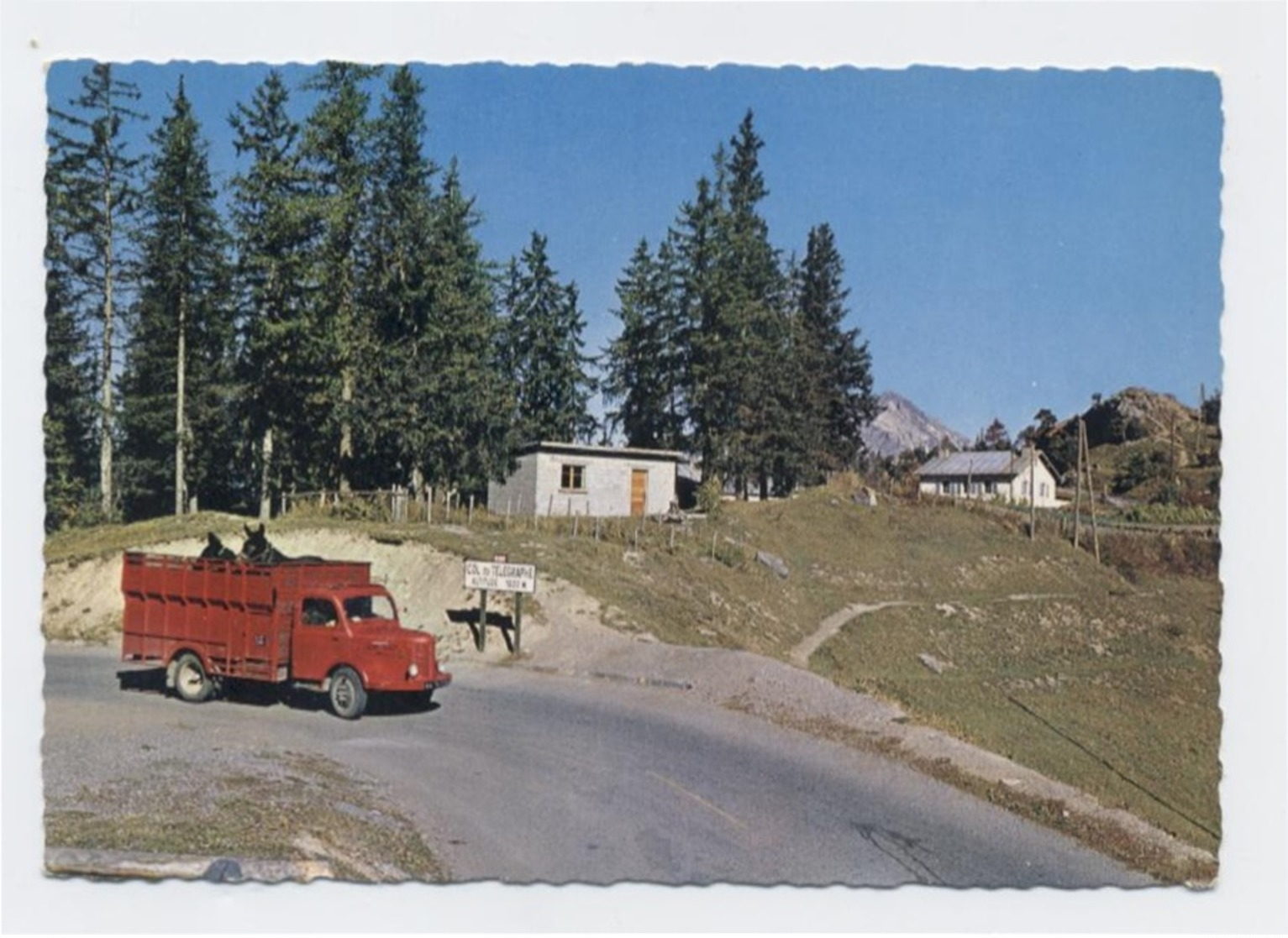 73 "Valloire, Le Col Du Télégraphe" CAMION ANES  ----RECTO/VERSO- B36 - Autres & Non Classés