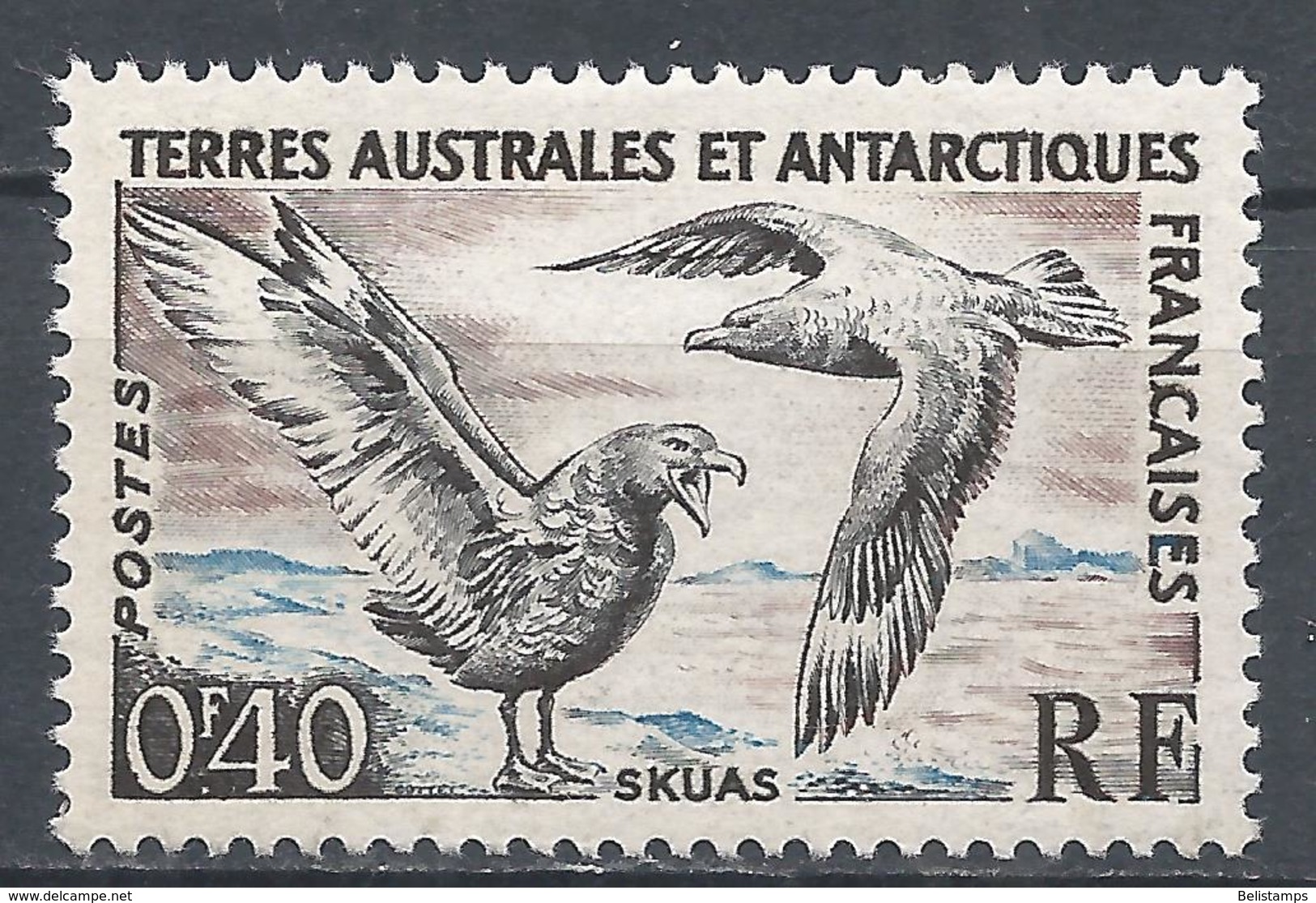 French Southern & Antarctic Territory 1959. Scott #13 (MH) Birds, Skua - Neufs