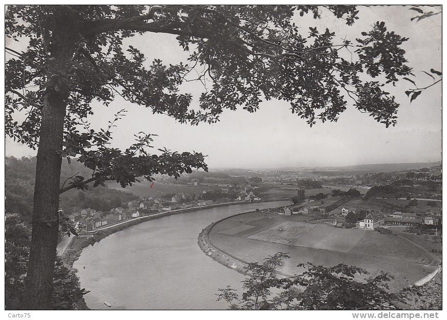 Belgique - Huy  - La Meuse Vue De Saint-Léonard - Huy