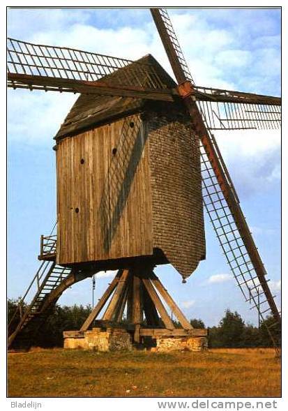 LANGDORP Bij Aarschot (Vl. Brab.) - Molen/moulin - Historische Opname Van De Heimolen (1971) - Zeer Mooie Kaart !!! - Aarschot