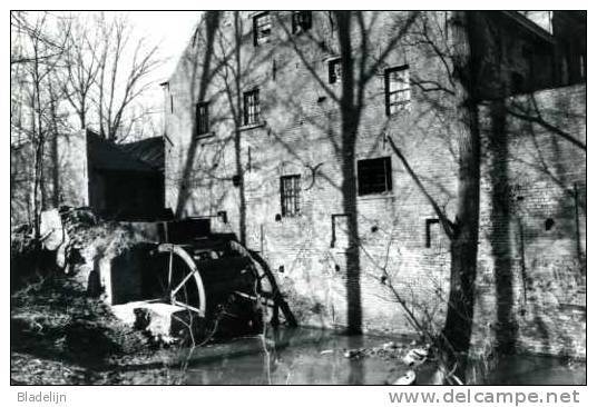 AAIGEM Bij Erpe-Mere (O.Vl.) - Molen/moulin/mill - De Engelse Molen, Nog In Het Bezit Van Zijn Bovenslagrad (1982). - Erpe-Mere