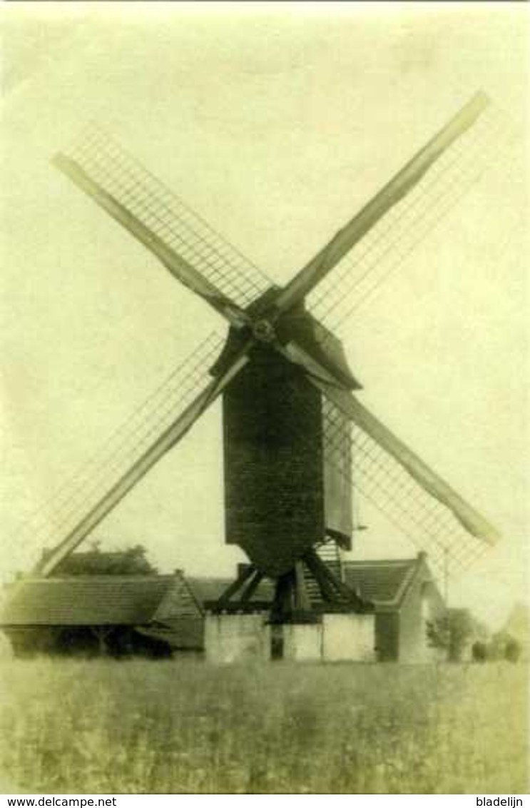 BEERZEL Bij Putte (Prov. Antw.) - Molen/moulin - De Verdwenen Liekensmolen Omstreeks 1930. Zeldzame Opname! - Putte