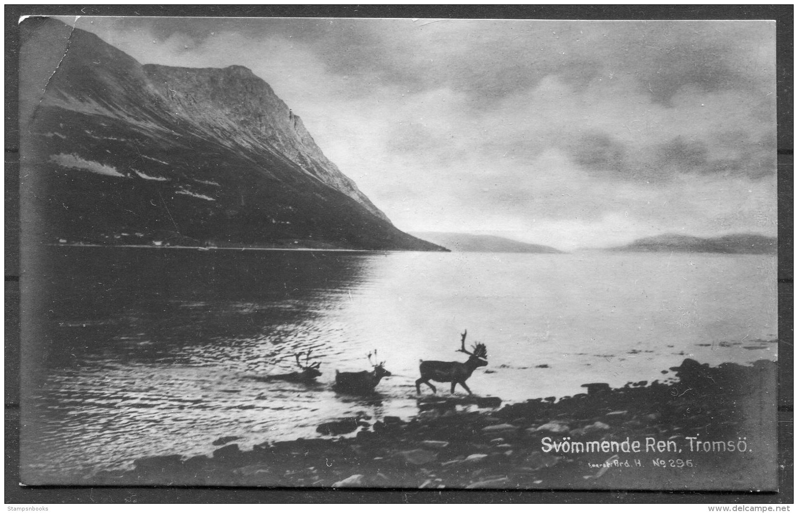 1928 Norway Tromso Reindeer Postcard. Nordlands Posteksp. - Baltimore USA. Ibsen 20 Ore - Covers & Documents