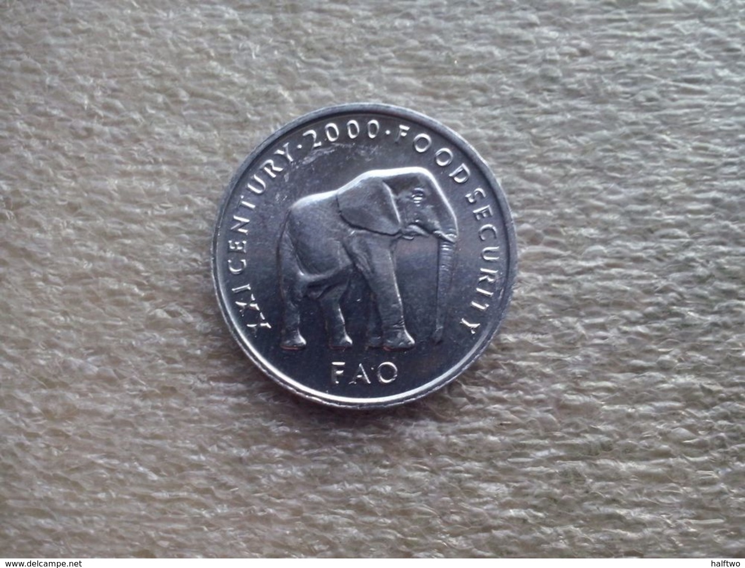 Somalia   5 Shillings    2000   UNC  (FAO) - Somalie