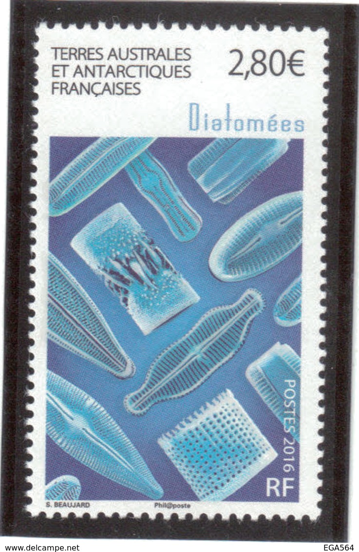 V10 - TAAF - 768 ** De 2016 - Flore Marine - ALGUES DIATOMEES . - Neufs