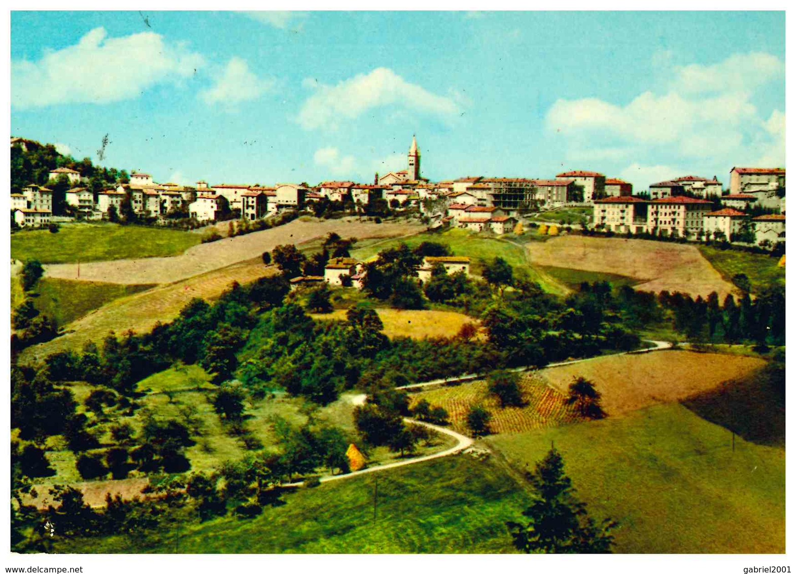 ZOCCA - Modena