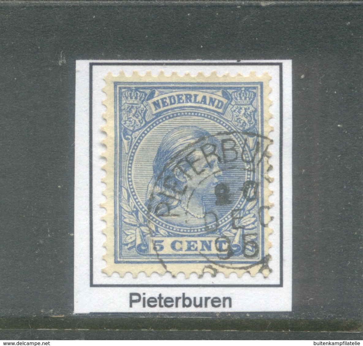 Kleinrond Pieterburen Op Nvph 35    CW 19,- - Oblitérés