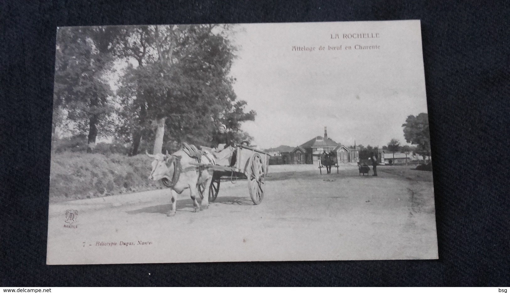 CPA 17 La Rochelle - Attelage De Boeufs En Charente - La Rochelle